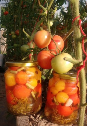 Маринованные помидоры с корицей и мятой: как создать уникальное лакомство