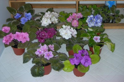 ��� ��������� ������ ������ ��� ��������