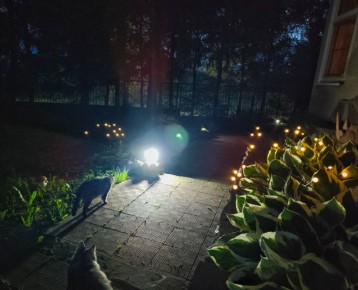 ��� ���� � ����� �������� �������� ��������� ����� ����� � ���������