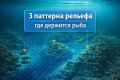 Где искать рыбу: три ключевых паттерна рельефа