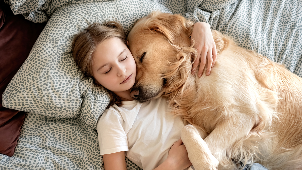 Спать с собакой: мнения ветеринаров и психологов в 2026 году