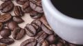 Топ кофе в зернах арабики: откройте мир вкуса и аромата