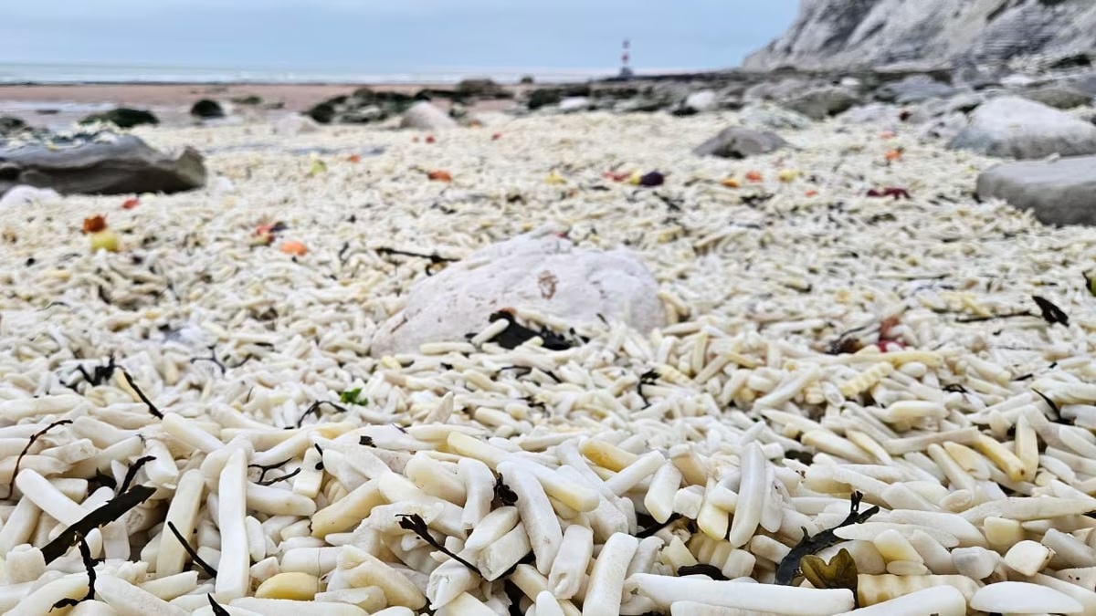 Пляж в Англии оказался завален луком и картошкой фри