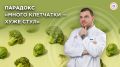Парадокс избытка клетчатки: когда помощь превращается в проблему