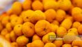Импорт цитрусовых в Сибирь вырос в 1,6 раза