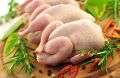 Как правильно готовить мясо: контроль температуры – залог успеха
