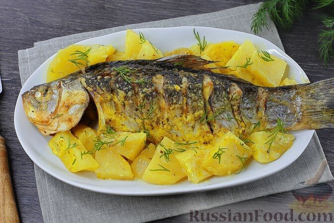 Рыбные шедевры: уникальные рецепты, которые удивят вас